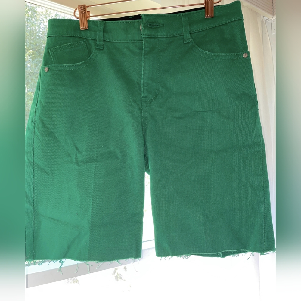 Democracy Brand Jean Shorts